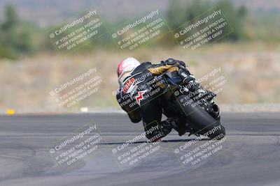 media/Oct-01-2023-SoCal Trackdays (Sun) [[4c570cc352]]/Turn 14 Backside (1120am)/